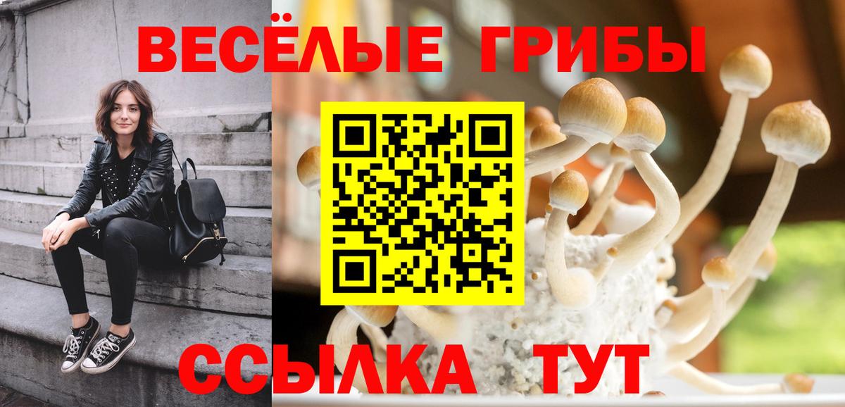 Псилоцибиновые грибы Magic Shrooms  Галлюциногенные грибы мицелий  Елец  Вход с VPN 